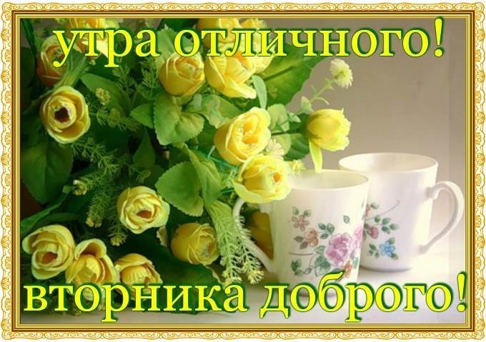 желтые-розы.jpg