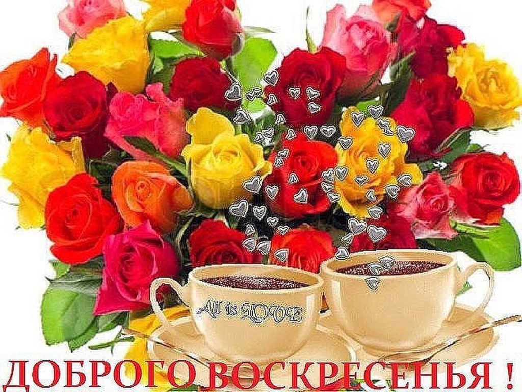 image_5ca99315b9b48.jpg